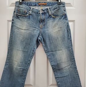 Vertigo Jean embroidered   29 1/2 Long